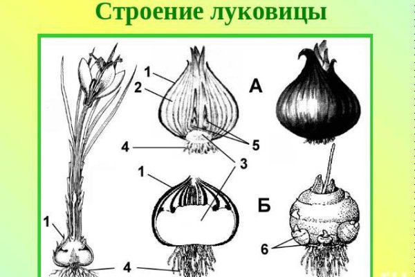 Омг даркмаркет