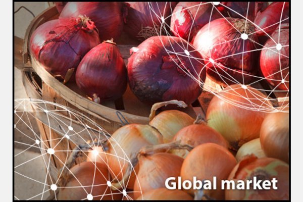 Актуальная ссылка на кракен в тор 2krnmarket